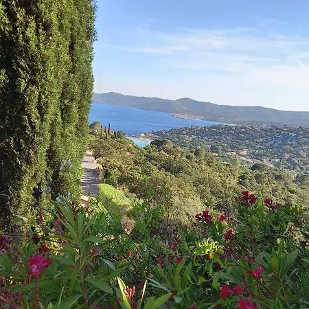 Vue Panoramique Exceptionnelle Ле-Лаванду