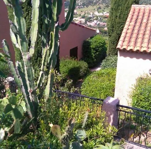 Vue Panoramique Exceptionnelle