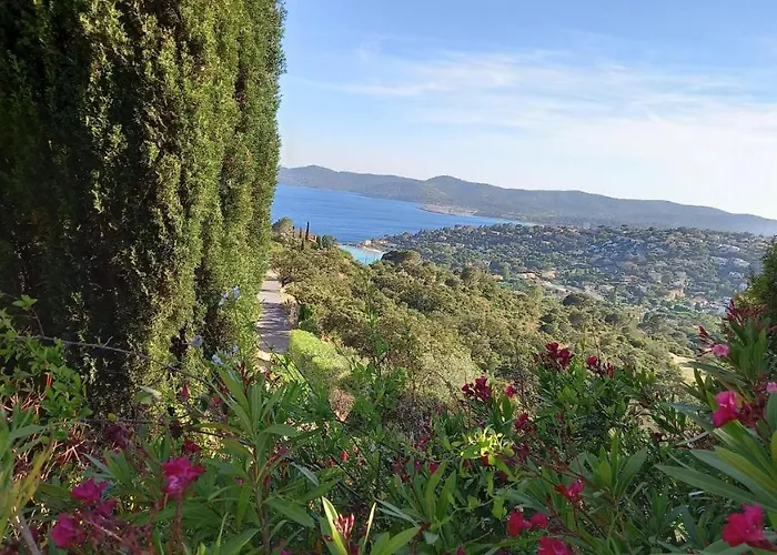 Vue Panoramique Exceptionnelle Le Lavandou