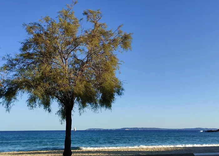 Διαμέρισμα Vue Panoramique Exceptionnelle Le Lavandou